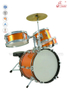 Venta al por mayor Set de batería de 5 piezas Jazz Drum Set para principiantes (DSET-80)