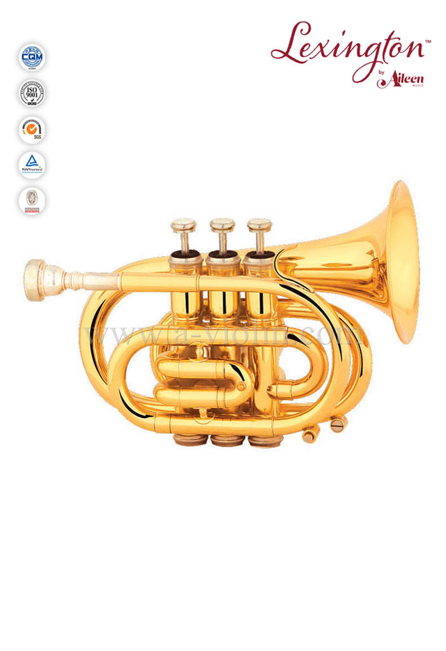 Trompeta de pistón de acero inoxidable con bolsillo de latón Bb (HTP8503G)