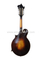 Instrumento Mandola hecho a mano (AM505F-L)