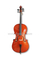 Piezas de ébano talladas a mano Solidwood Student Cello (CG103)