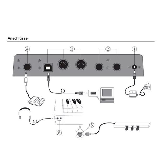 Stage Pianos 88 Progress Hammer Action Teclados a la venta (DP710X)