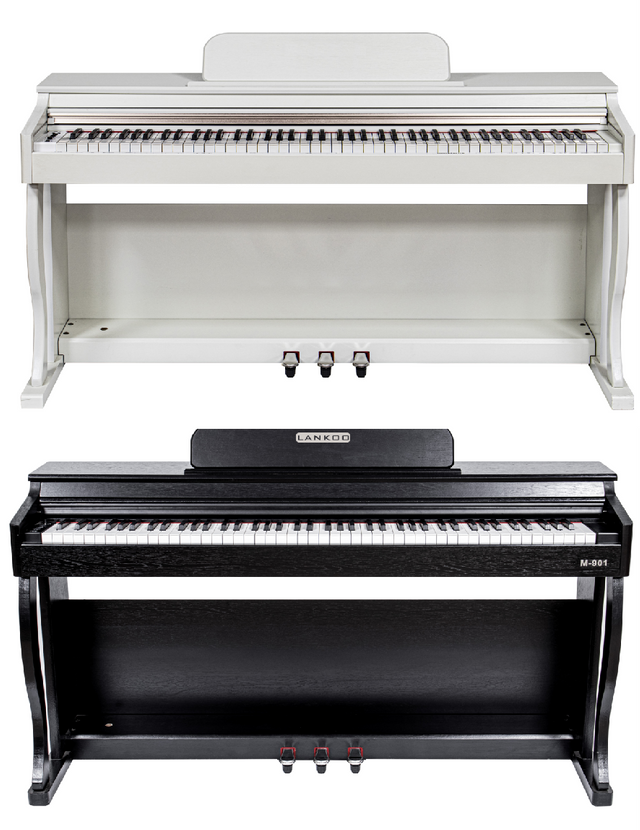 88 teclados de acción de martillo de progreso (DP791)