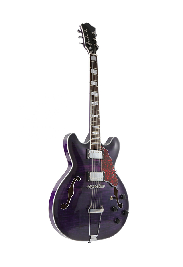 Guitarra eléctrica de 6 cuerdas estilo jazz de arce OEM de fábrica de China (EGJ352)