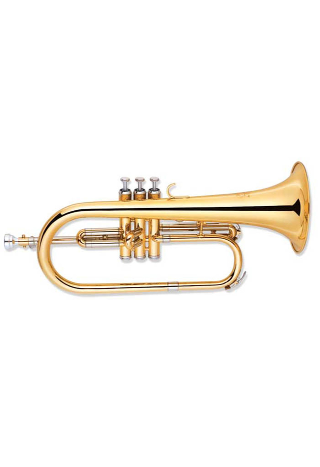 Cuerno de flugel de grado de entrada clave bB (FG-G400G-SYY)