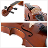 Traje de violín de estudiante de tapa de abeto macizo de cola de metal (VG103)