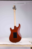 WGS EX80-AT Winzz Exotic Collection Guitarra eléctrica con tapa de chapa de teca y cuerpo de Agatis fabricada en Indonesia