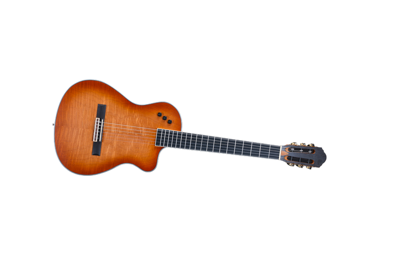 Cuerpo delgado 39 'Guitarra eléctrica acústica Flamed Okoume (WCG170CE)