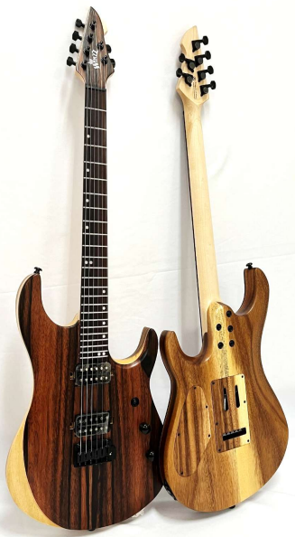 Nuevas guitarras eléctricas profesionales Winzz Design edición especial