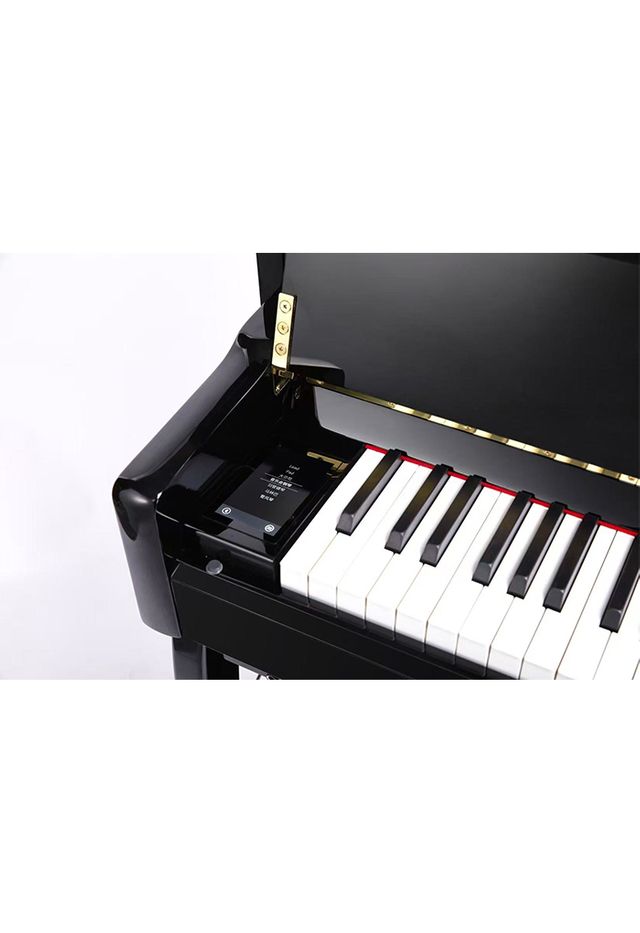 DP9006 Hot Sale 88 key Hammer-Action Keyboard Hybrid Digital Piano