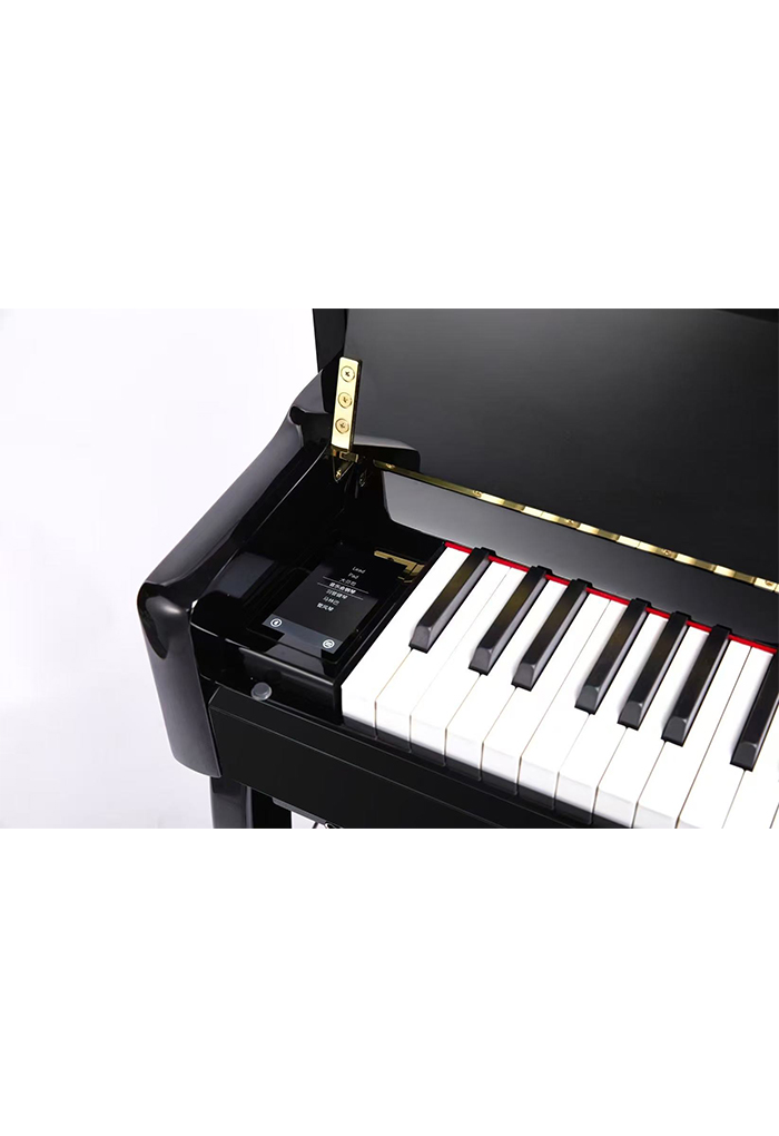 DP9006 Hot Sale 88 key Hammer-Action Keyboard Hybrid Digital Piano