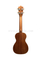 Ukelele de cuerpo fino superior de madera contrachapada de abeto de alta calidad (AU17L-TB)