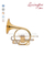 Válvulas de pistón Instrumento de música de trompa (FH7036P-G)