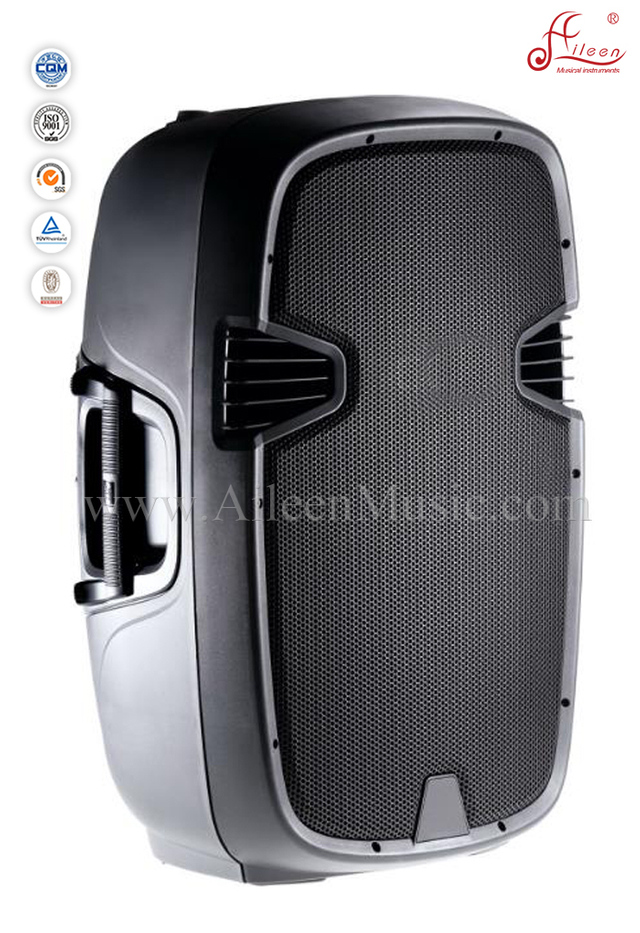 Altavoz PA activo para gabinete de plástico con control de potencia de 120 "y 120W (PS-1512AP)