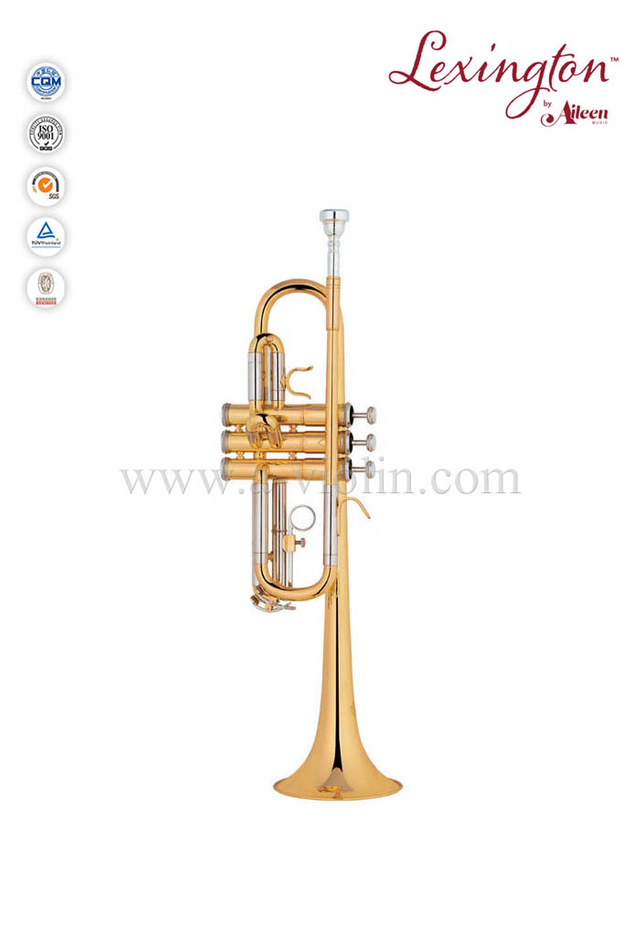 Trompeta intermedia clave C con estuche premium (TP8376G)