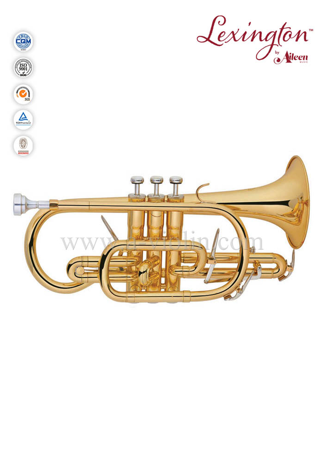 Estilo Cornet-BS intermedio con llave de agua de 2 piezas (CN8712G)