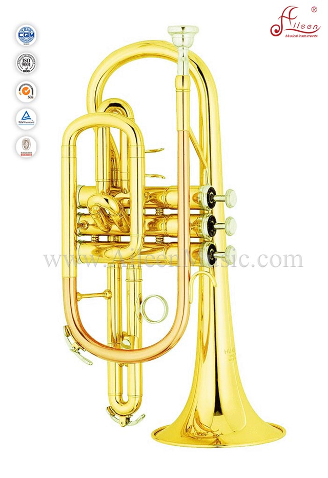 Laca dorada Bb Key Cornet (CN8711)