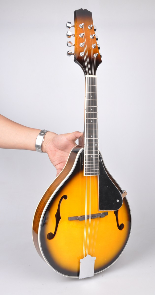 Mandolina estilo A de madera contrachapada de abeto (AM10L-A)