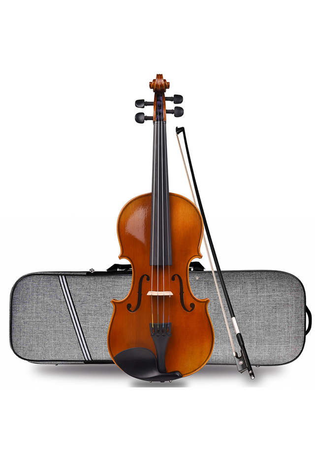 Conjunto de violín avanzado de la serie de conciertos 4/4 (AVL310HO-BV51)