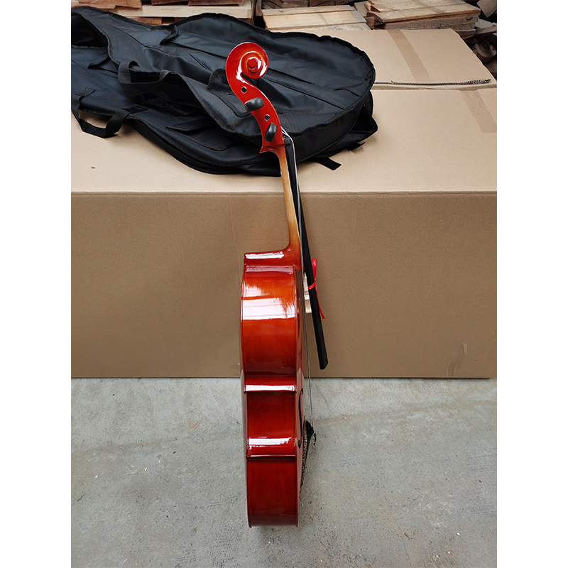 Instrumento de violonchelo 4/4 para estudiantes principiantes a la venta (CG001L)