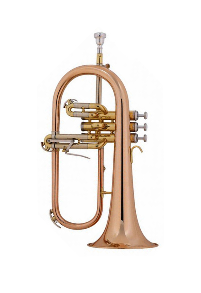 FG-M410G-RB-SSR Profesional de grado medio BB Brasa de latón Flugel Horn