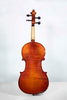 SC-15AL Kit de violonchelo profesional moderado con tapa de abeto macizo seleccionado 4/4-1/16