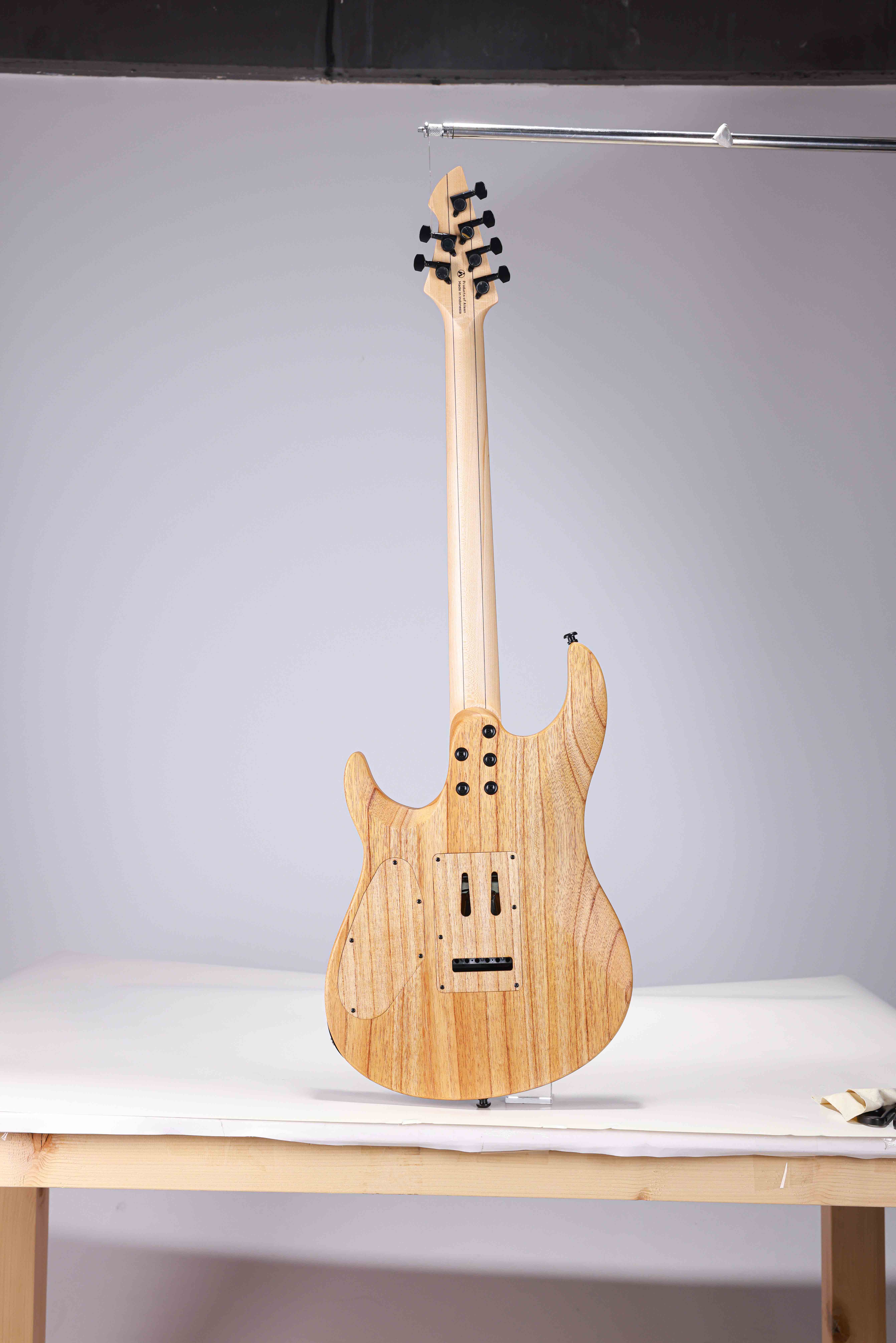 WZS EX80-ME Mindi Body Eboni (grosor: 12 mm) guitarra eléctrica superior con forma arqueada fabricada en Indonesia
