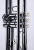 TP8001NB Instrumentos de viento de buena calidad Entrada de grado BB Key Trompeta
