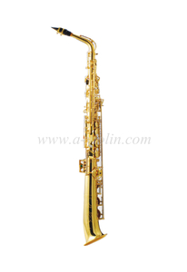 Gran oferta de saxofón alto recto para principiantes (ASP-TS305G)