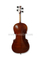 Venta al por mayor Spruce Top Advanced Cello (CH200Y)