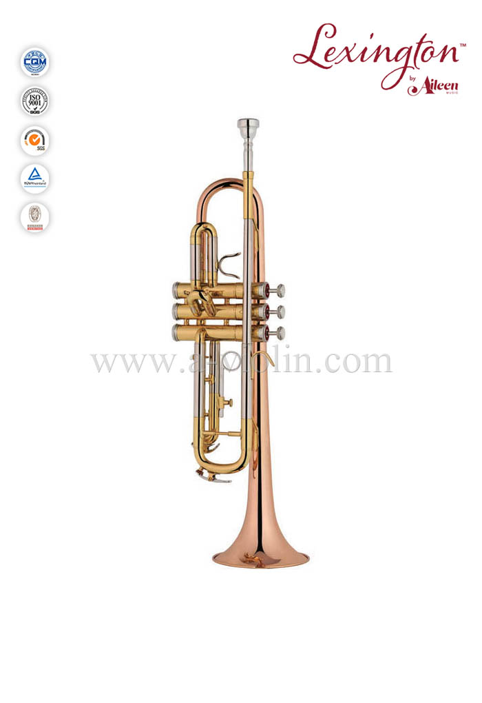 Trompeta profesional Bb Upgrade con estuche Premium (TP8012)