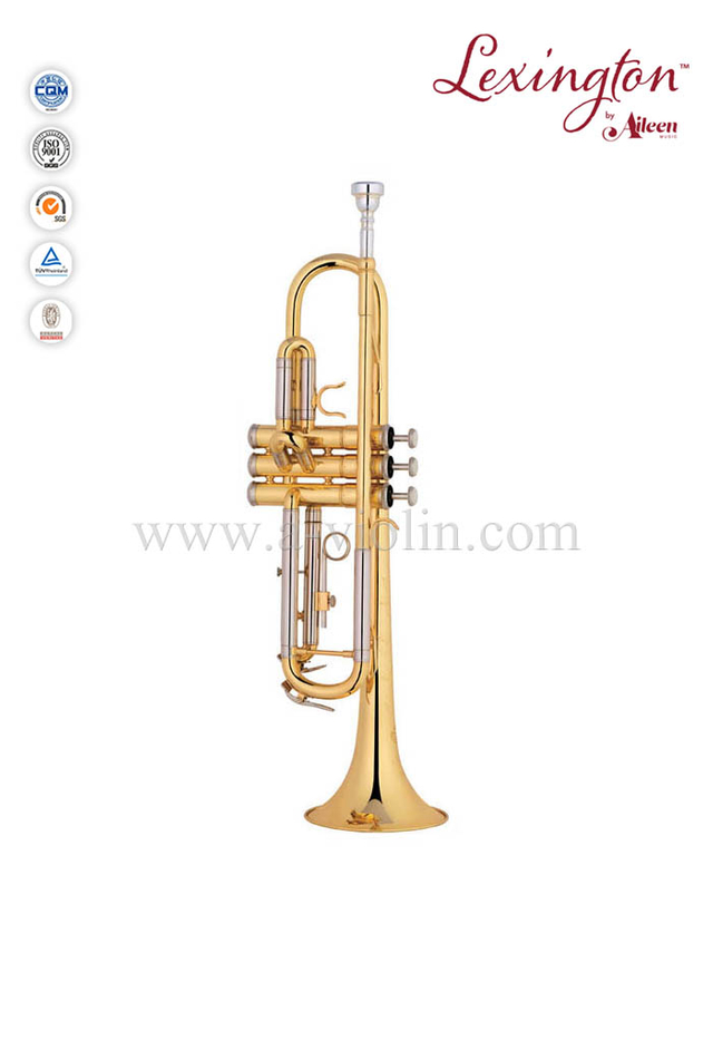 Trompeta de grado general de latón lacado estilo Y (TP8391G)