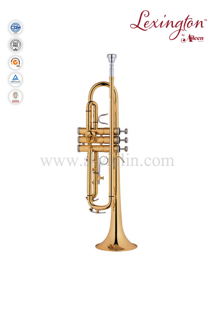 Trompeta profesional estilo americano con estuche premium (TP8394G)