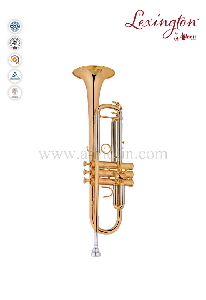 Trompeta profesional modelo intermedio estilo S con estuche Premium (TP8398G)