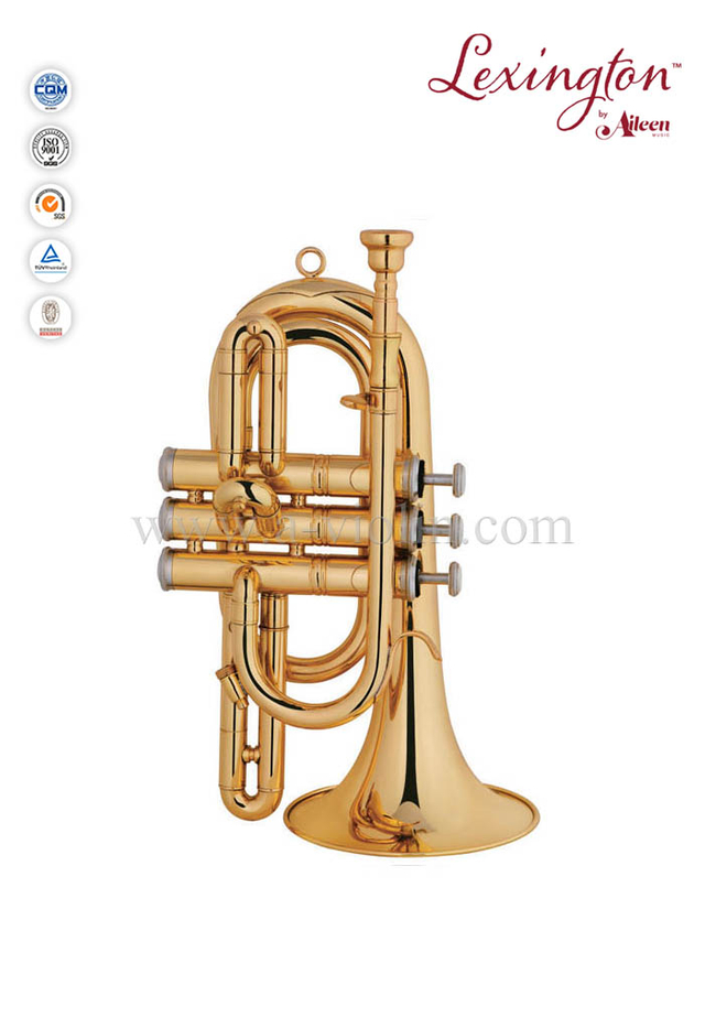 Corneta Intermedia lacada en oro-estilo español (CN8713G)