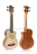 Ukelele de diapasón de madera maciza de diapasón de madera de alta densidad (AUB15-BAE)