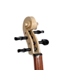 Violín con tapa de abeto macizo 4/4-1/8 Violín colorido (VG105ER)