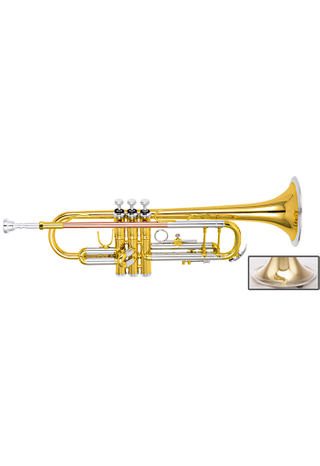 Trompeta bB Key de alto grado (TP-H360GS-SRY)