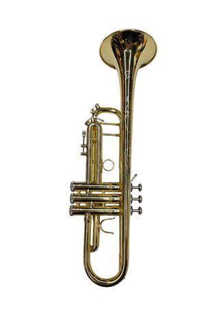 Campana de trompeta bB DIA 123 mm Diseño de campana especial (TP-G8005G)
