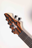 WZS EX80-ME Mindi Body Eboni (grosor: 12 mm) guitarra eléctrica superior con forma arqueada fabricada en Indonesia