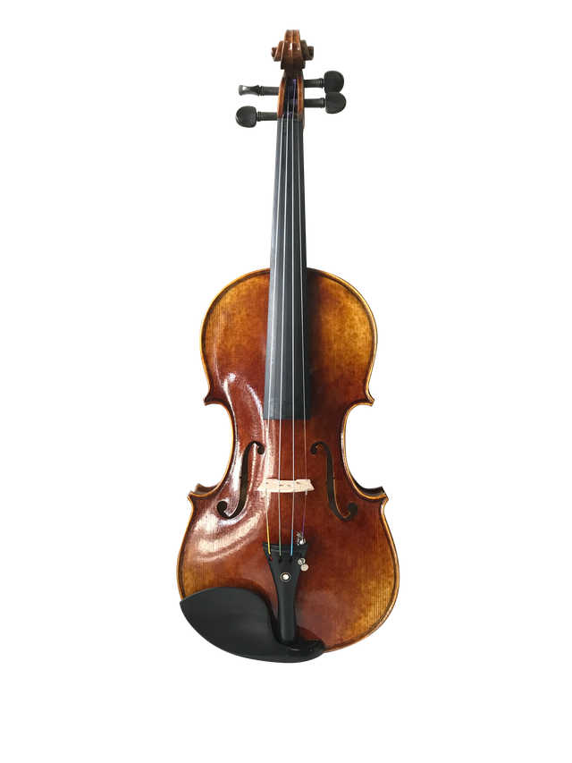 Top de abeto sólido seleccionado con 'Violín de aceite de aceite ' Violín con aviso (VH200VA)