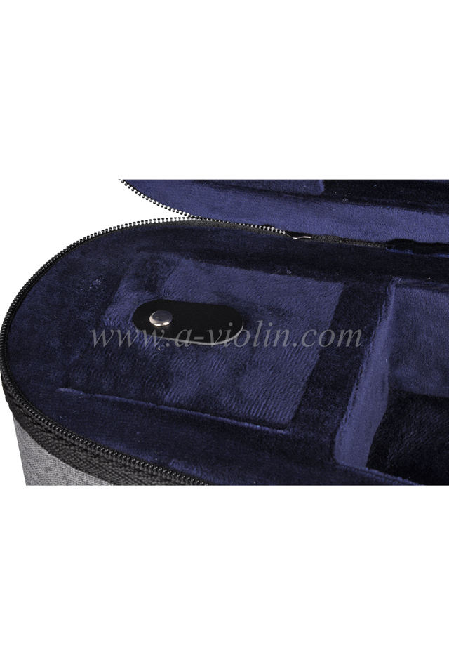 Nuevo estuche de violín de luz triangular de espuma de lujo (CSV012B1)