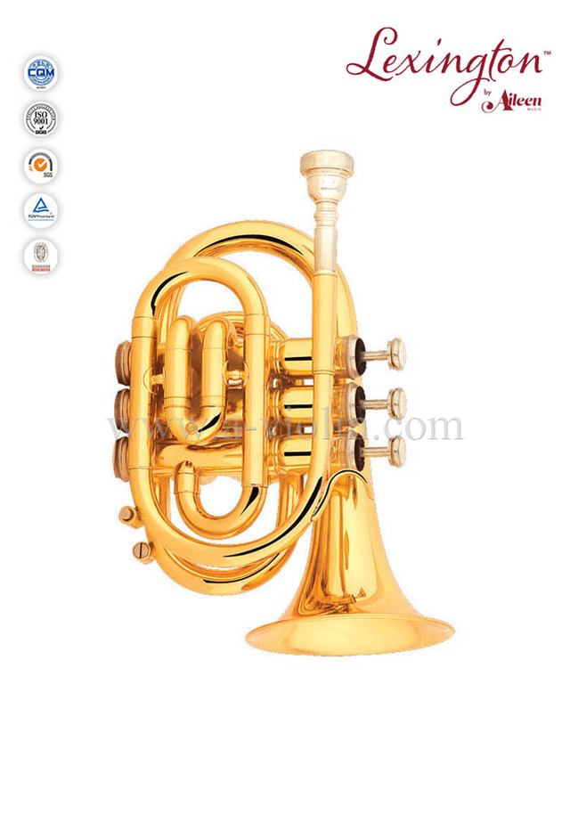 Trompeta de pistón de acero inoxidable con bolsillo de latón Bb (HTP8503G)
