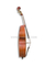 Gambe Shape Arched Back Flamed Hand Made Student Contrabajo (GDB102)