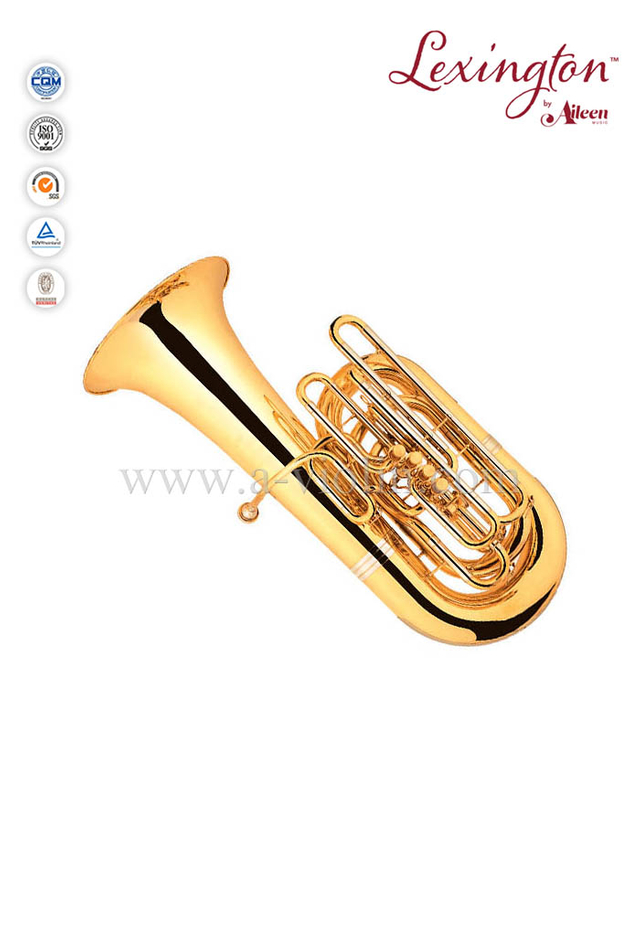 5 pistones de acero inoxidable para Tuba (TU9956G-SYY)