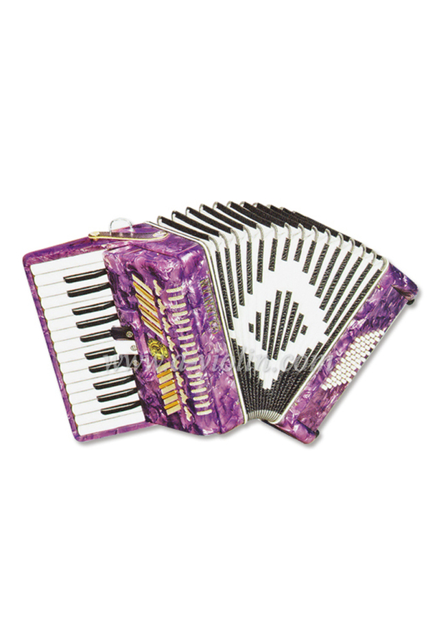 26Key 48Bass 3/0 Registro de acordeón para piano popular (K2648)