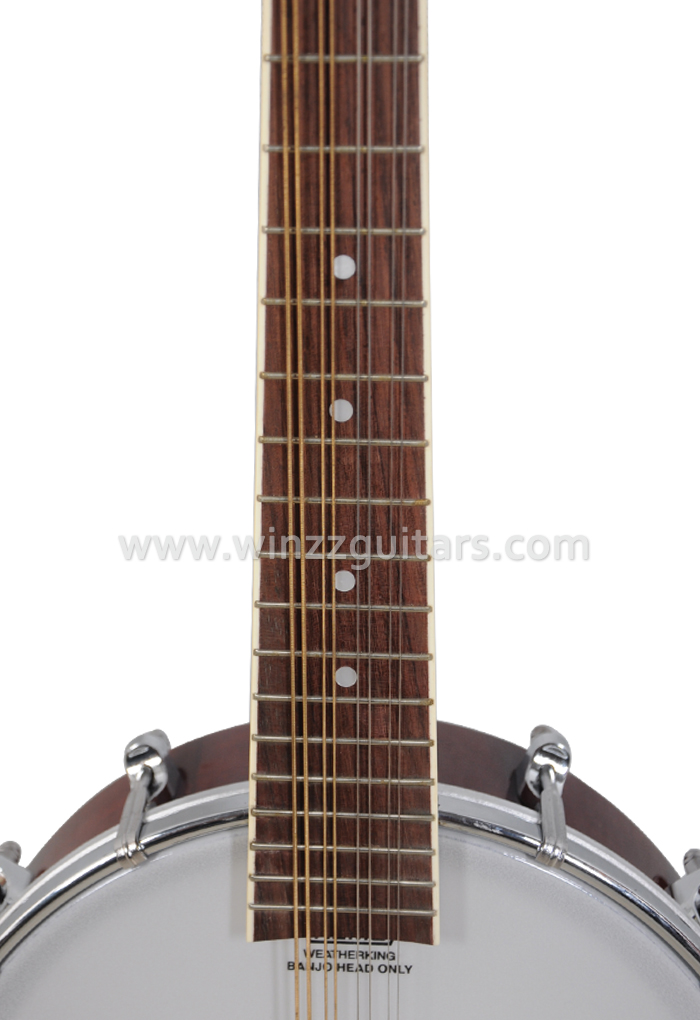 18 trastes Sapele cuerpo de madera contrachapada Remo cabeza Banjo mandolina (AB12-M)