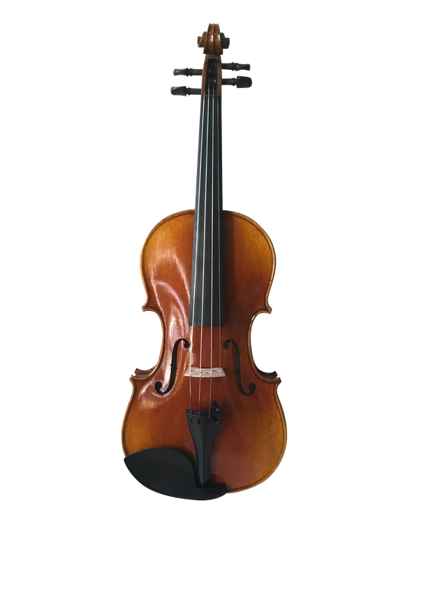 Parte superior de abeto macizo seleccionado con la serie de 'barniz de aceite' nuevo violín avanzado (VH100VA)