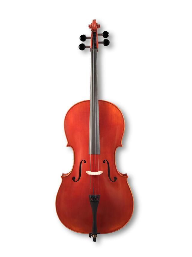 4/4-1/8 Spirit Varnish Advanced Cello (CH100Z)
