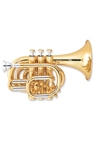 Trompeta de bolsillo de alto grado con llave C (HTP-H460G-SYY)