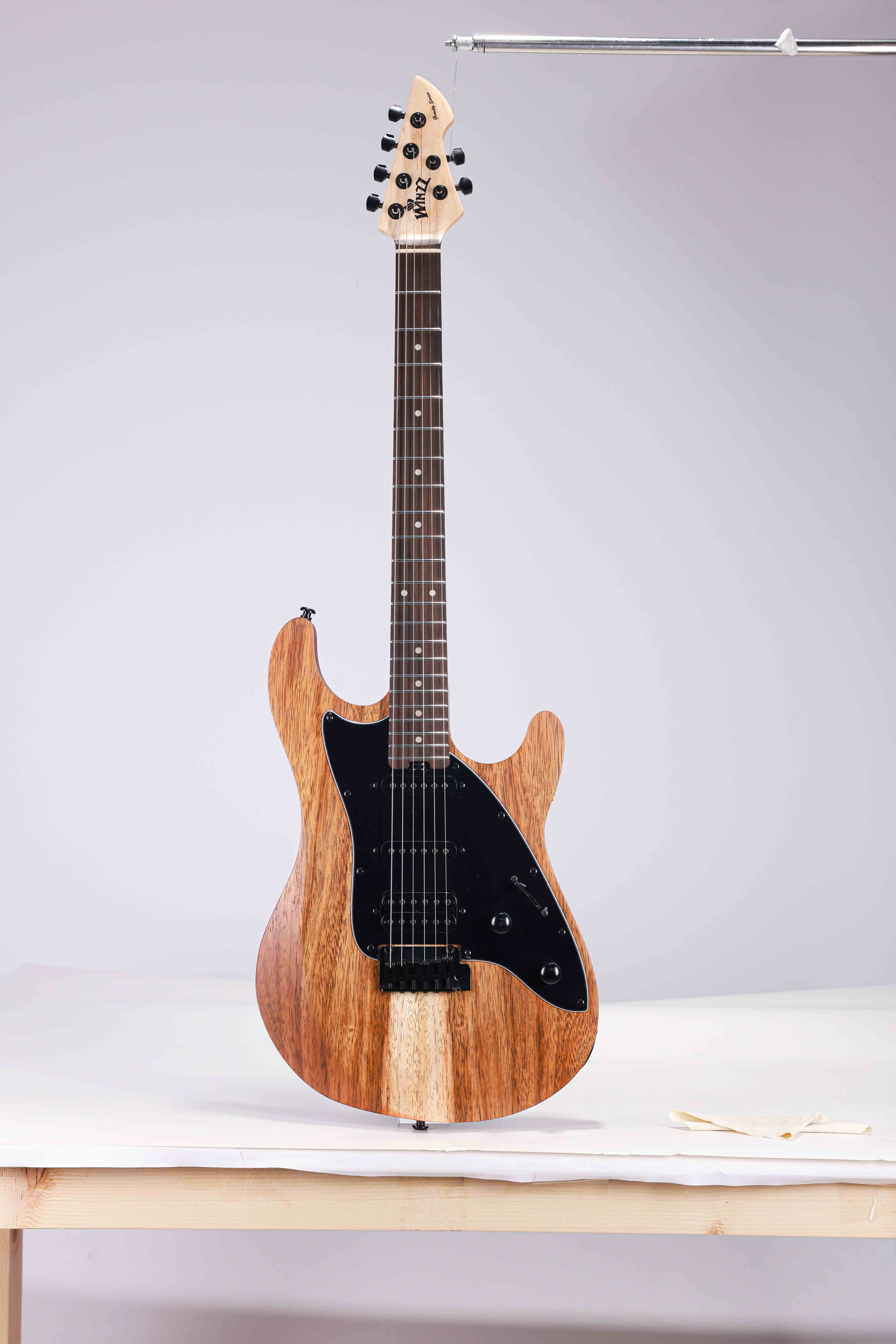 WGS EX80-AT Winzz Exotic Collection Guitarra eléctrica con tapa de chapa de teca y cuerpo de Agatis fabricada en Indonesia